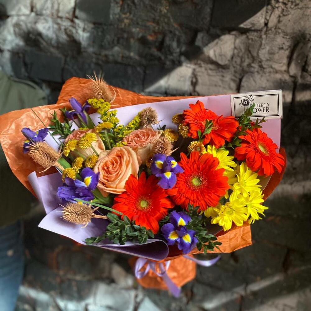 кустовой хризантемы кустовой хризантемы