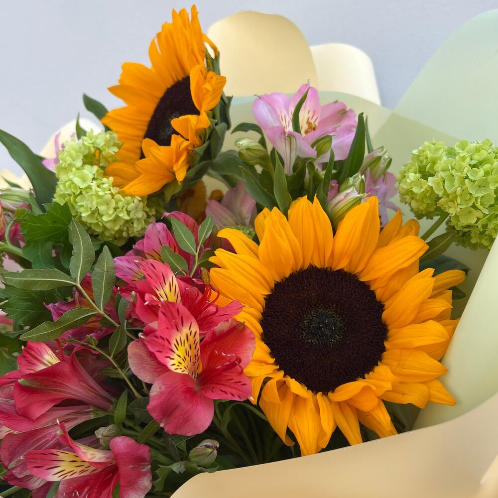 альстромерии альстромерии