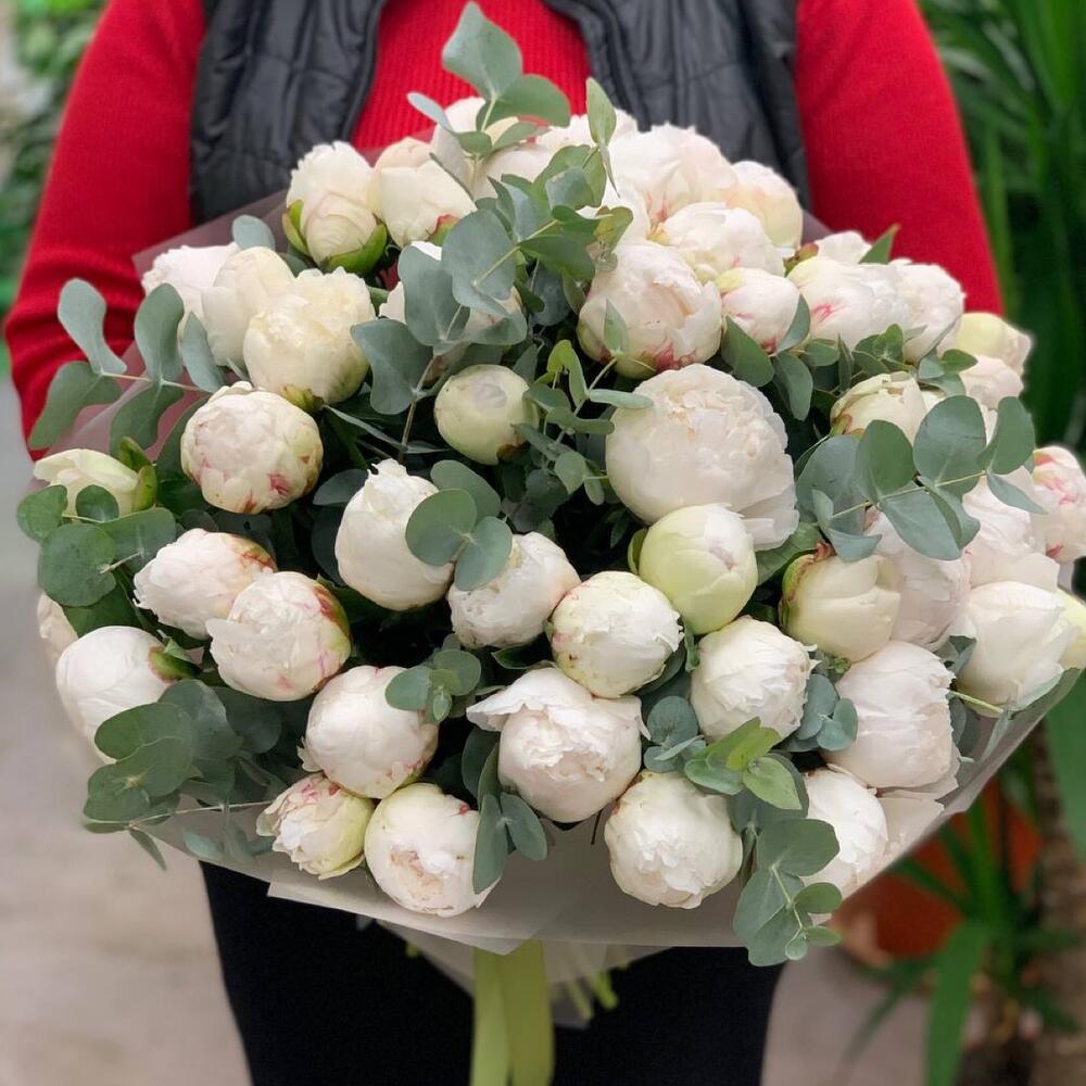 Шикарный букет белых пионов 51 шт с эвкалиптом Шикарный букет белых пионов 51 шт с эвкалиптом