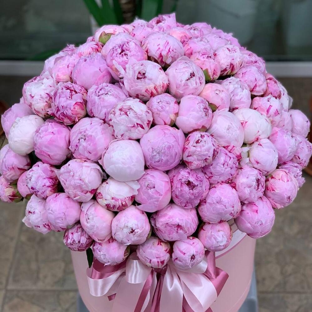 Пионовый шик   (101 пион в коробке) Пионовый шик   (101 пион в коробке)