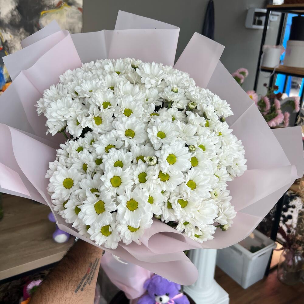 Хризантемум + открытка