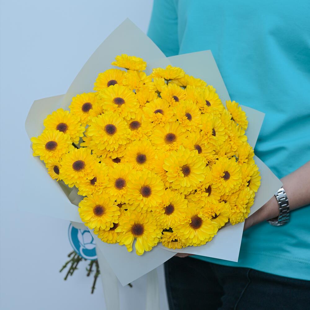 Хризантема солнечная